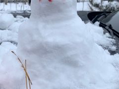 -广元曾家山国际滑雪场