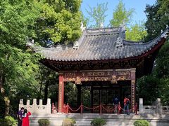 -汇龙潭