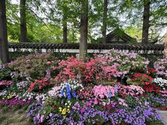 -惠山古镇·寄畅园