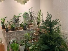-坦克·甜品店(莲花广场店)