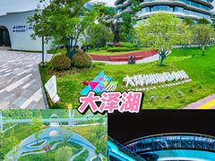 -长沙黑麋峰国家森林公园