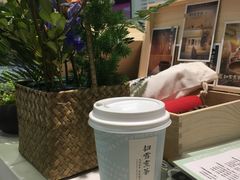 -扫雪煮茶(西村店)