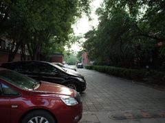 -天幕新彩云国际影城(激光巨幕店)