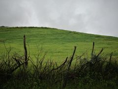-兰州吐鲁沟国家森林公园