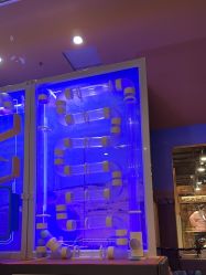 点击看大图 -卡通尼·Safari非洲探索乐园·生日会(金桥国际商业广场店)