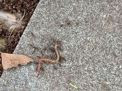 -苏州河梦清园环保主题公园