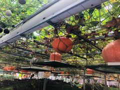 -兰陵国家农业公园