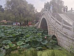 -长春市南湖公园