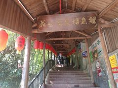 门面-鲤鱼塘农家山庄