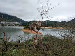 -广州市流溪河国家森林公园