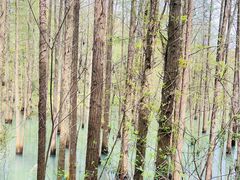 -青龙山国家森林公园