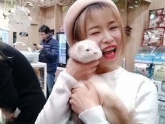 -藦茜花园宠物主题亲子互动体验馆(国顺东路店)