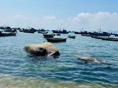 -海源公园