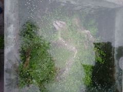 android_upload_pic-青龙山生态文化旅游区(慈云寺)