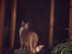 猫的天空之城概念书店(西塘古镇店)-猫的天空之城概念书店(西塘古镇店)