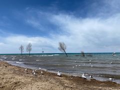 -青海湖国家重点风景名胜区