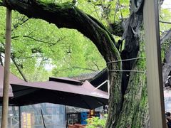 -兴福老面馆(寺路街店)