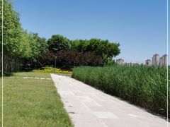 -天津东丽湖风景区