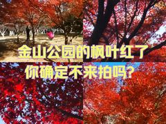 -金山公园