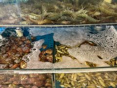 -蟹谢蒸鲜自助餐厅