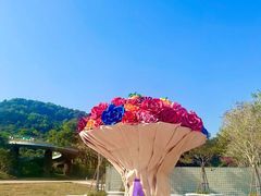 -东南花都花博园