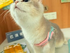 -联合动物医院(光谷诊疗中心)