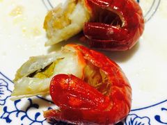 -大萝卜烧烤羊蝎子烤全羊(新城河路店)
