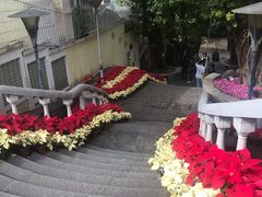 -龙环葡韵住宅式博物馆