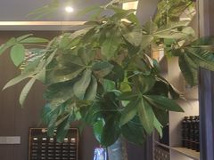 -鹿栖.精油SPA(金山世纪城店)