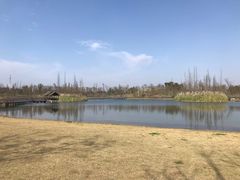 -白鹭湾湿地公园