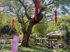 -桃花涧