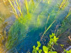 -昆山城市生态森林公园