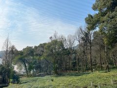 -野蔓果·山野菜(西湖景区·龙井茶田店)