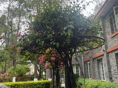 -西昌邛海宾馆