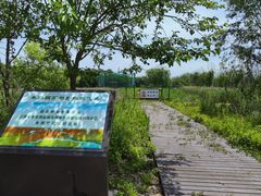 -盐城丹顶鹤湿地生态旅游区