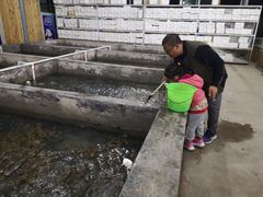 -阔澜蒸汽海鲜自助