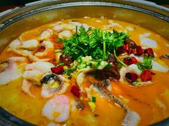 肥肠鱼-龙梅肥肠鱼(明瓦廊店)
