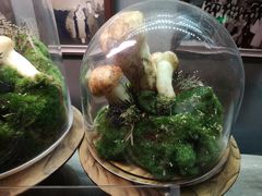 -原牛道·潮汕围炉火锅(讯美店)
