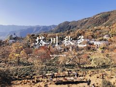 -塔川景区