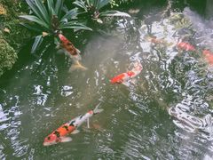 -Chom Cafe and Restaurant