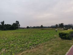 -蜀绣公园