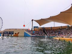 -秦皇岛乐岛海洋王国