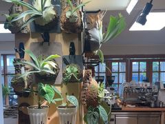 -本無咖啡·BeanWood Coffee