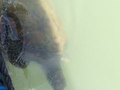 -海上驿站渔家菜馆