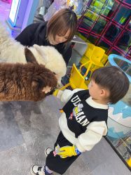 -神奇动物撸宠馆·羊驼·小浣熊·异宠(豫园店)