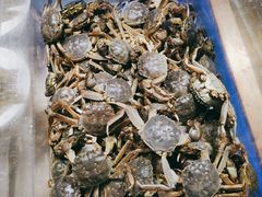 正蟹-诱货海鲜自助火锅(爱琴海购物公园东百店)