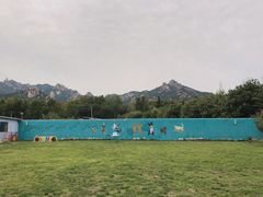 -趣玩宠物乐园寄养训犬训狗游泳池