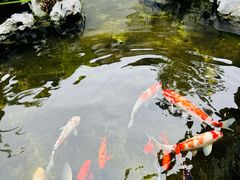 -道南書院·私房菜·早午茶·茶馆