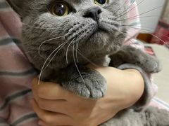 -客栈猫舍(中央北路店)