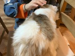 -白兔子密室(长寿路店)